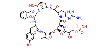 Micropeptin 90